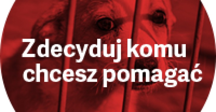 Klienci Rossmanna sami zdecydują komu pomogą Klienci Rossmanna sami zdecydują komu pomogą