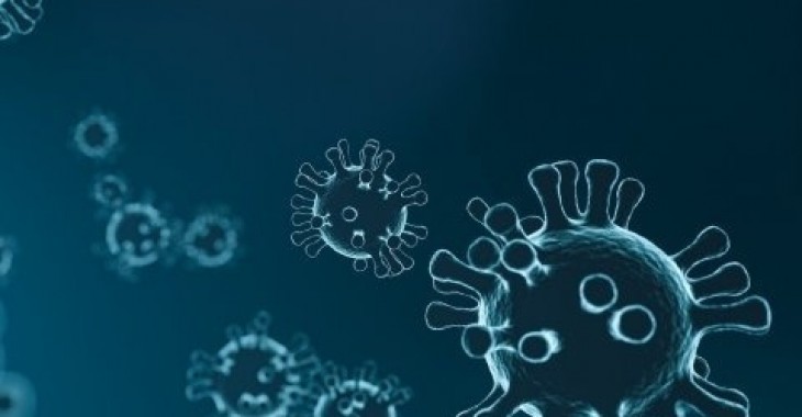 Czego bać się bardziej – epidemii czy kryzysu ekonomicznego? Czego bać się bardziej – epidemii czy kryzysu ekonomicznego?